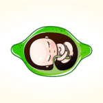 week 12 lime